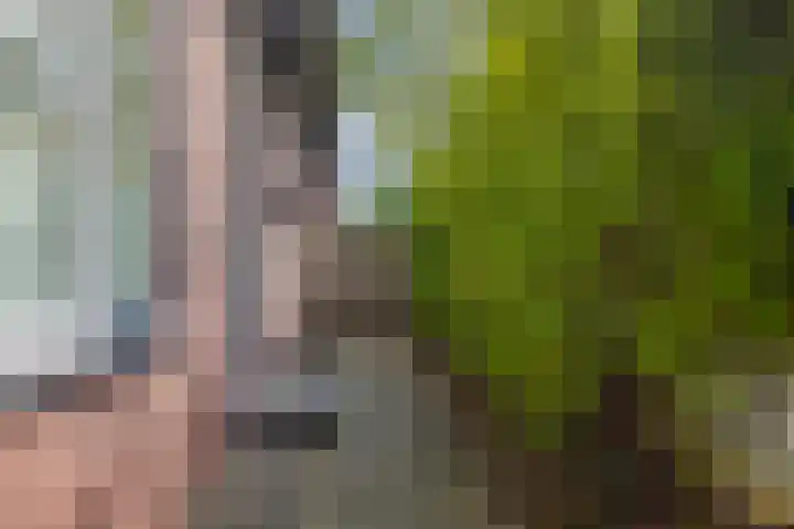 Oosterweg 21 De Wilp thumbnail 42