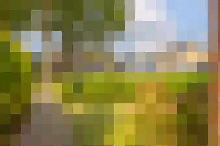 Oosterweg 21 De Wilp thumbnail 44