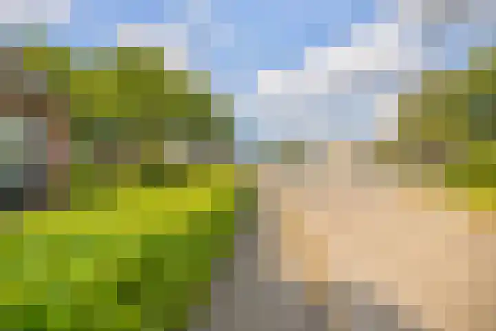 Oosterweg 21 De Wilp thumbnail 45