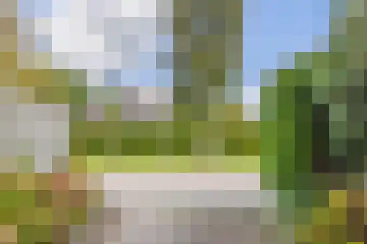 Oosterweg 21 De Wilp thumbnail 46