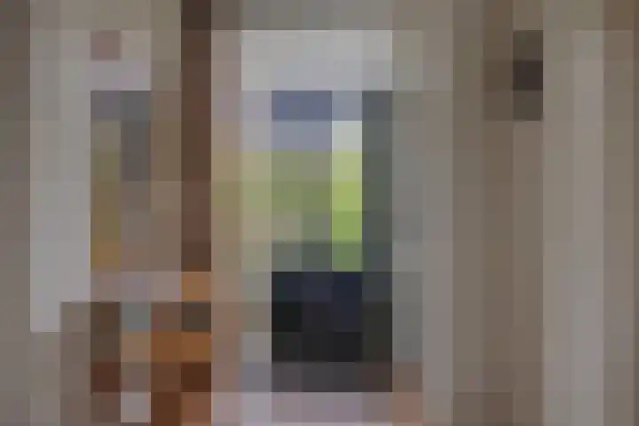 Oosterweg 21 De Wilp thumbnail 9