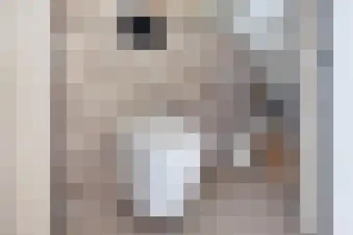 Oosterweg 21 Muntendam thumbnail 18
