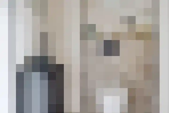 Oosterweg 21 Muntendam thumbnail 4