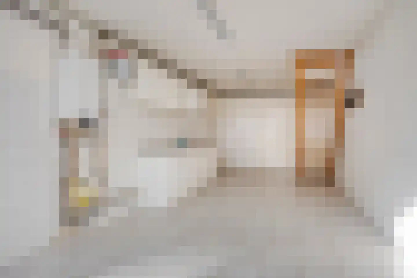 Oosterweg 30 De Wilp thumbnail 24