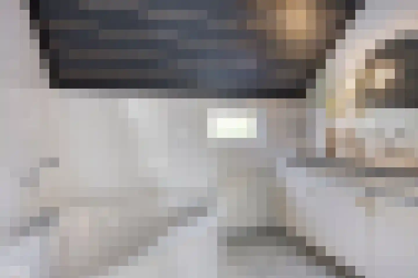 Oosterweg 30 De Wilp thumbnail 25