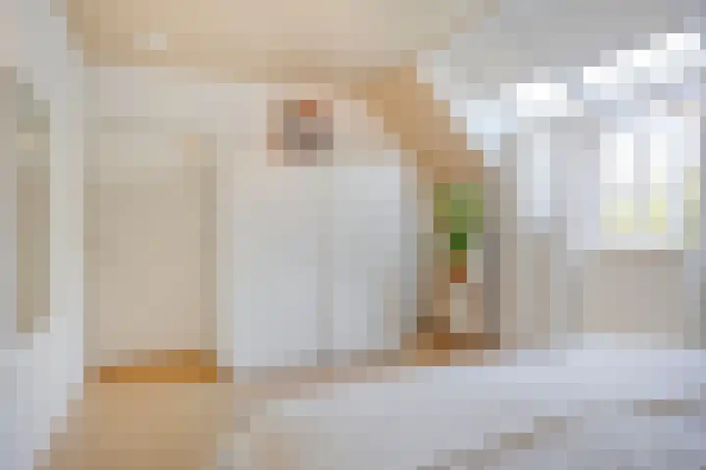 Oosterweg 30 De Wilp thumbnail 29