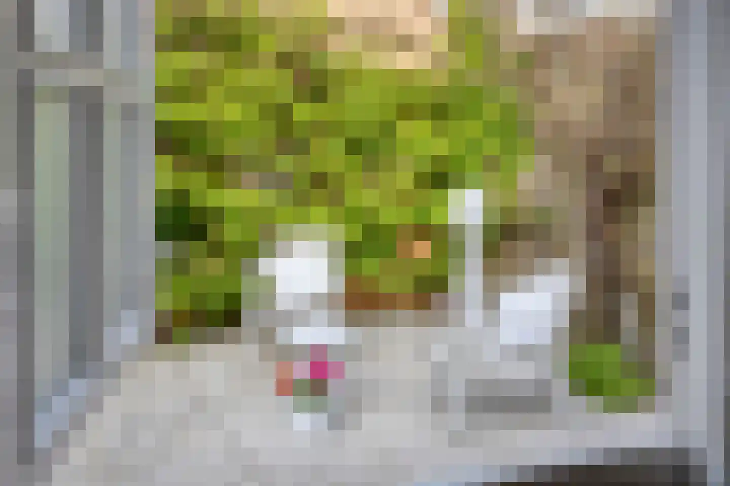 Oosterweg 30 De Wilp thumbnail 30