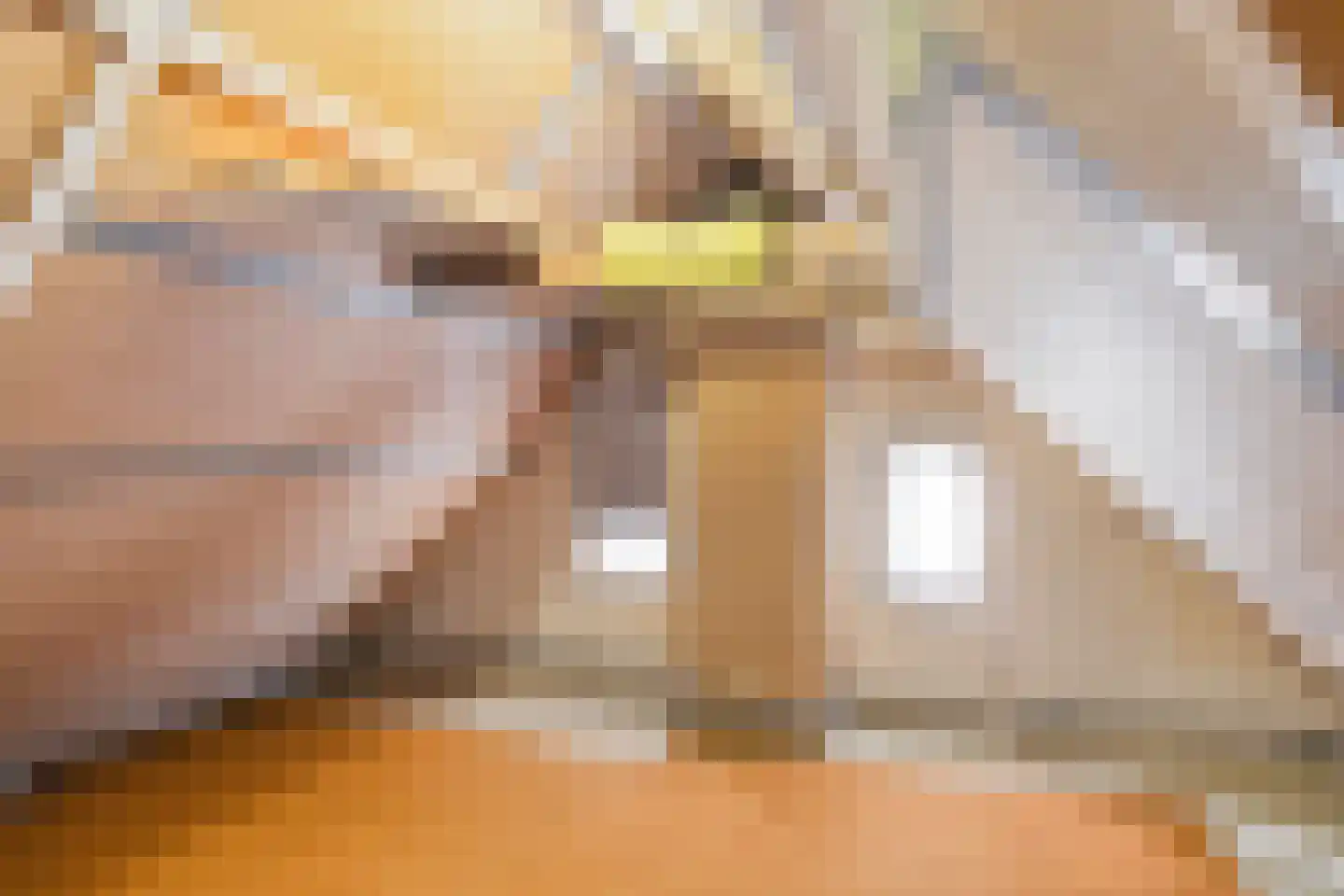 Oosterweg 30 De Wilp thumbnail 38