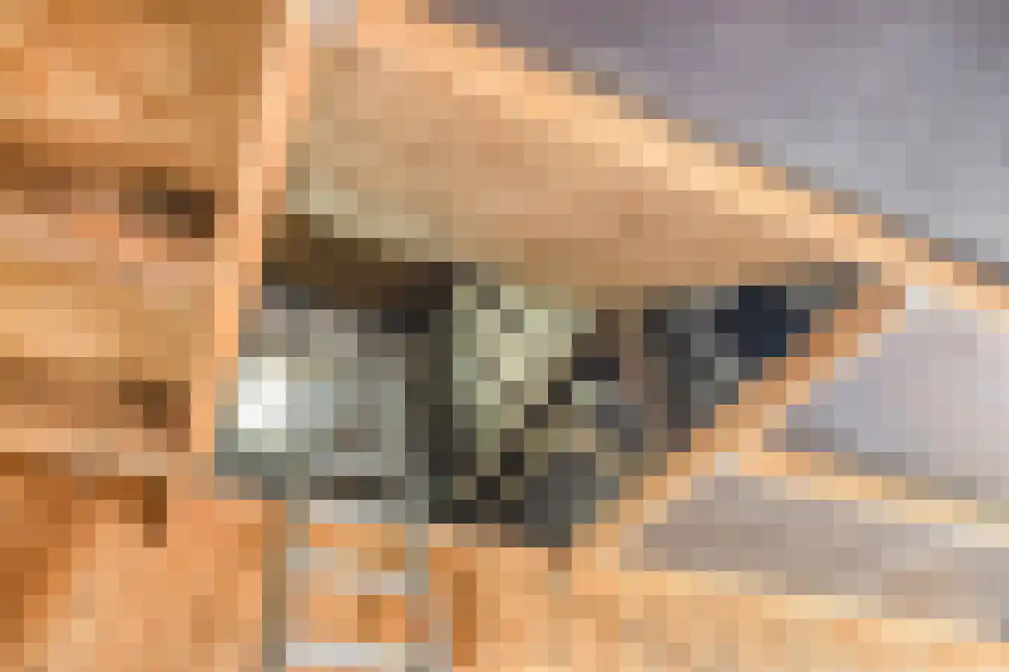 Oosterweg 30 De Wilp thumbnail 42