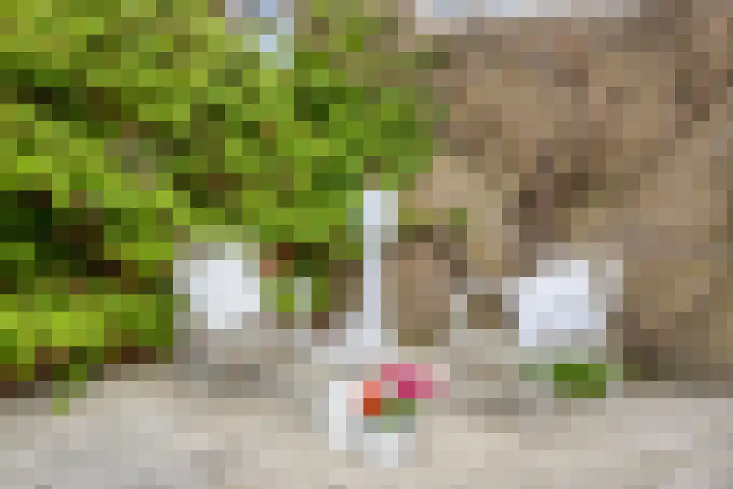 Oosterweg 30 De Wilp thumbnail 48