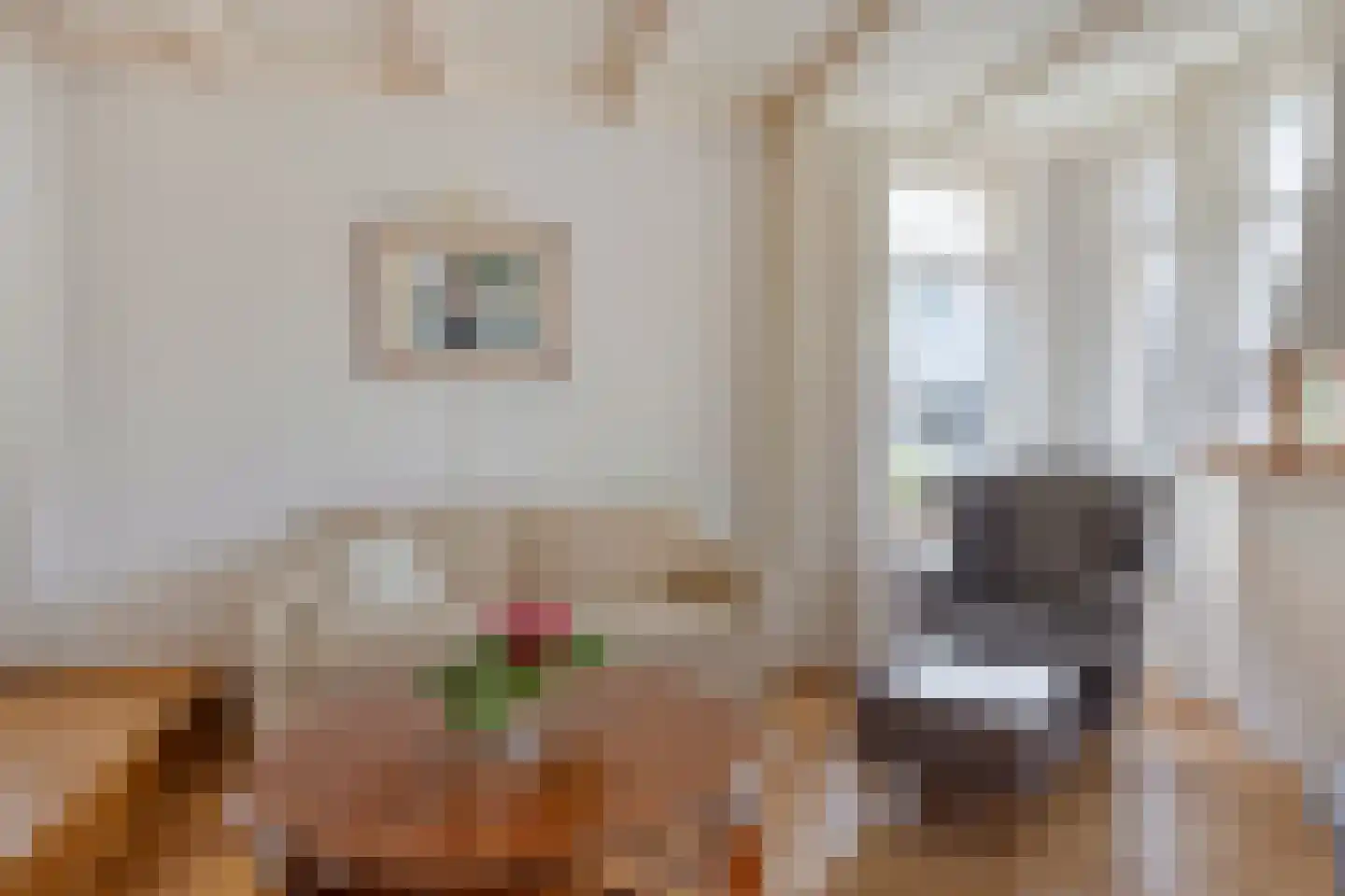 Oosterweg 30 De Wilp thumbnail 5