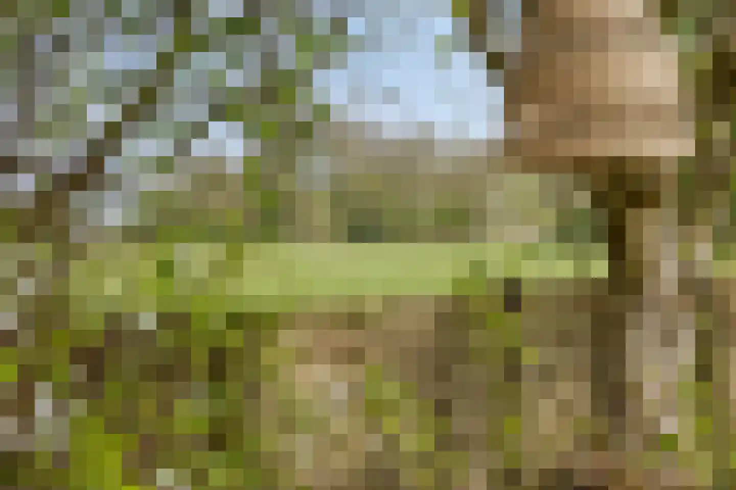Oosterweg 30 De Wilp thumbnail 52