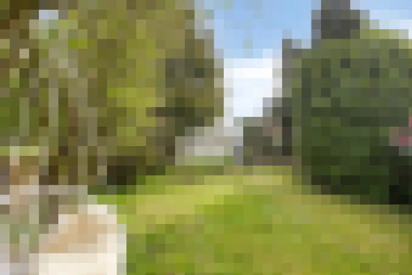 Oosterweg 30 De Wilp thumbnail 53