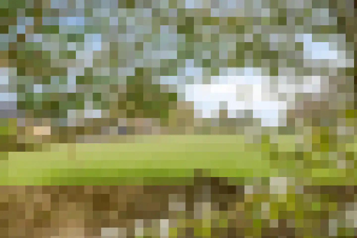 Oosterweg 30 De Wilp thumbnail 55