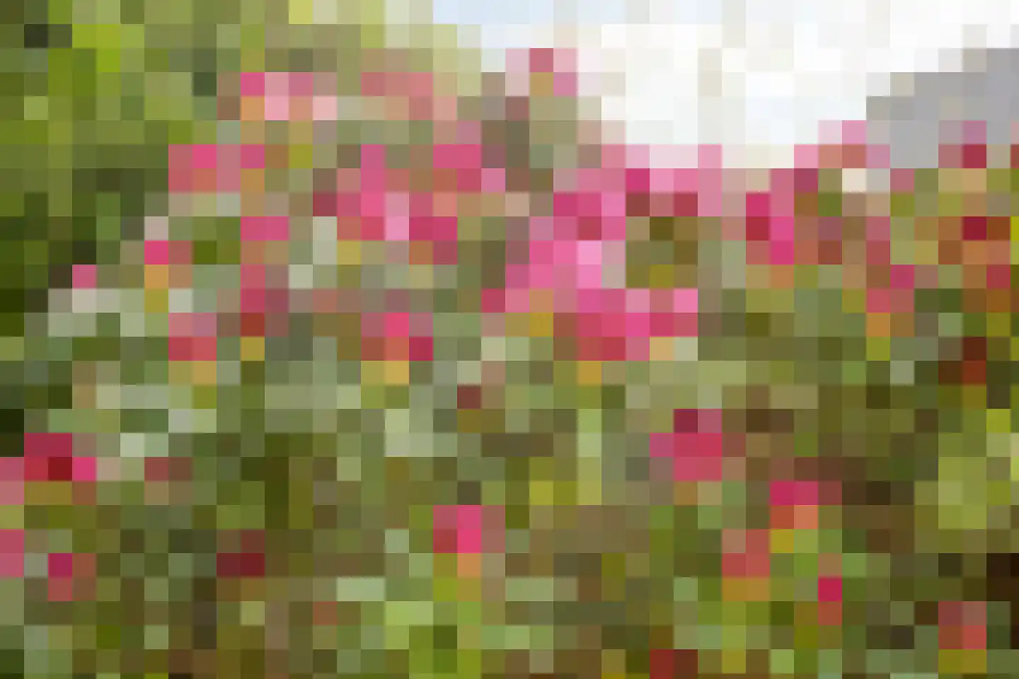Oosterweg 30 De Wilp thumbnail 56