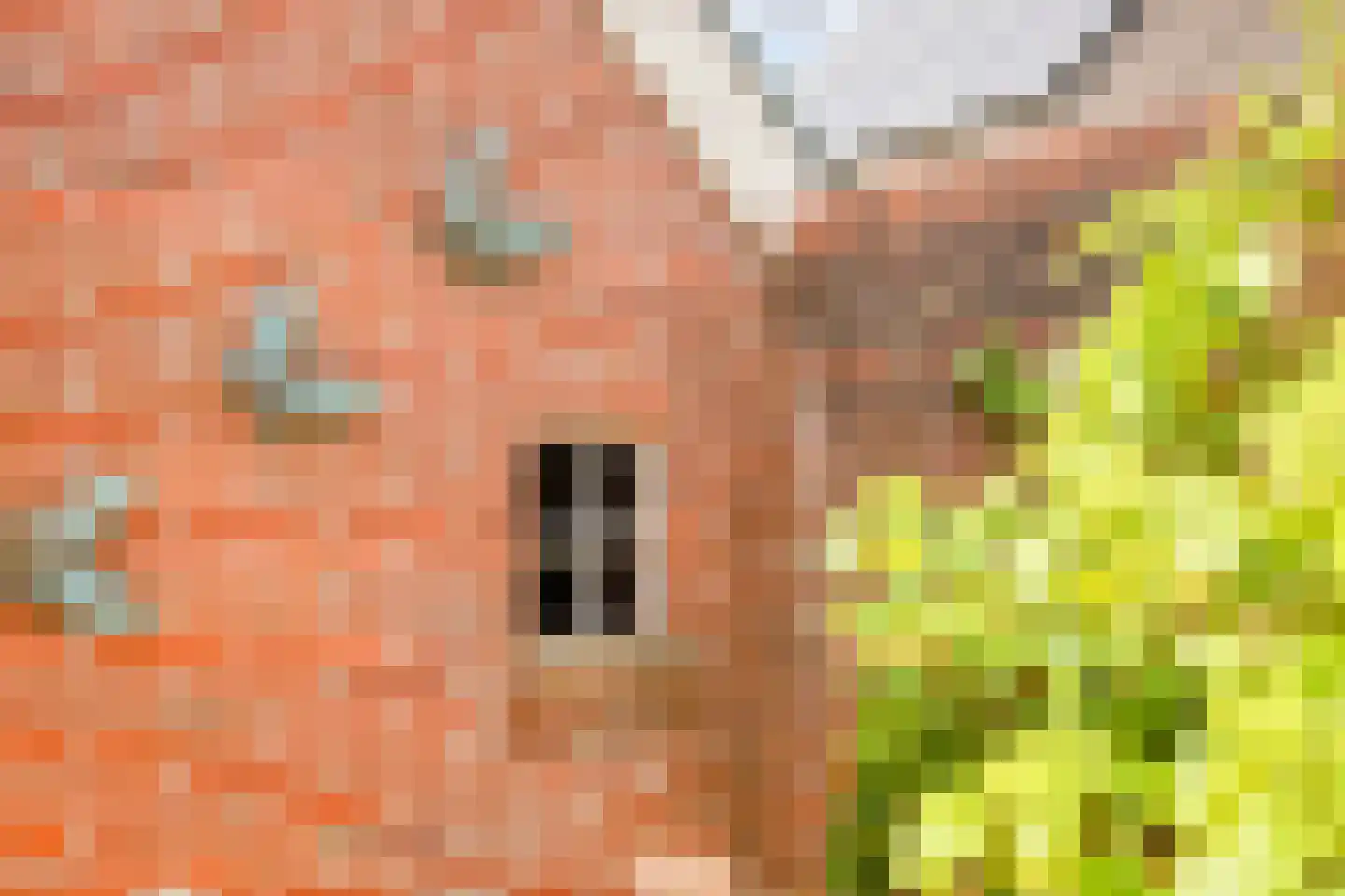 Oosterweg 30 De Wilp thumbnail 57