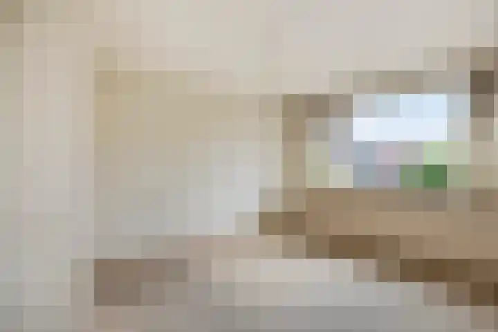 Oosterweg 30 Wijchen thumbnail 13