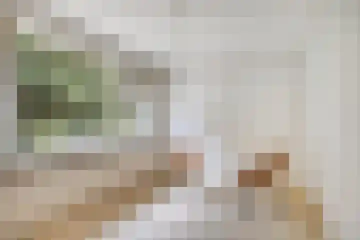 Oosterweg 30 Wijchen thumbnail 17