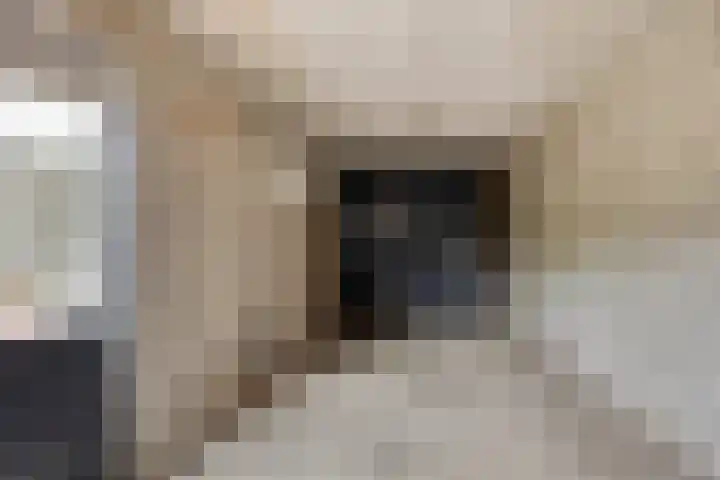 Oosterweg 30 Wijchen thumbnail 28