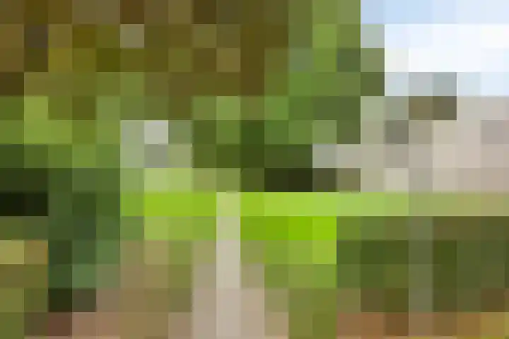 Oosterweg 30 Wijchen thumbnail 30