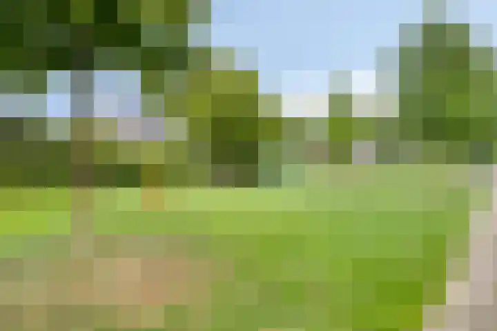 Oosterweg 30 Wijchen thumbnail 31