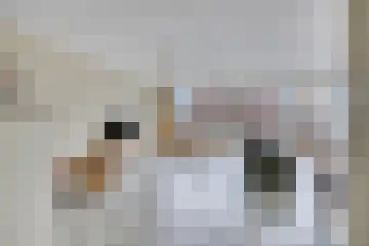 Oosterweg 33 Wijchen thumbnail 5