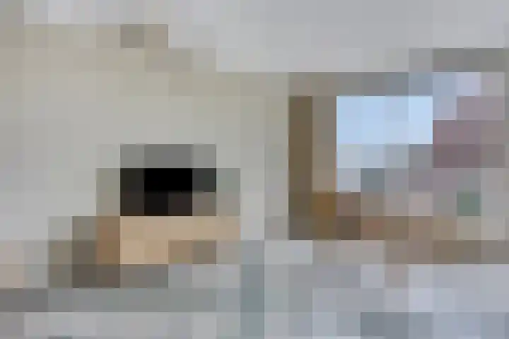 Oosterweg 33 Wijchen thumbnail 6