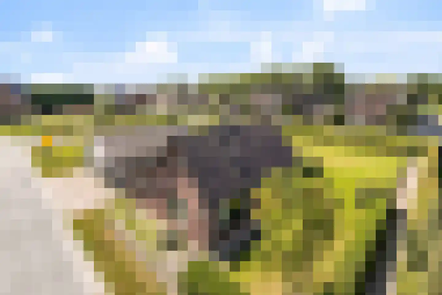 Oosterweg 4 Heerhugowaard thumbnail 6