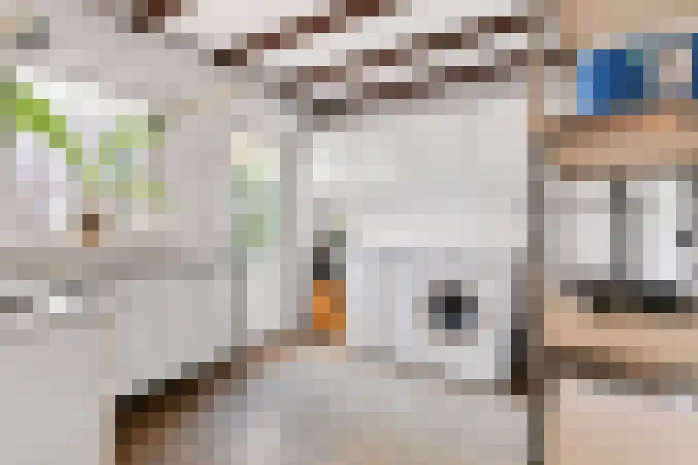 Oosterweg 48 Wijchen thumbnail 18