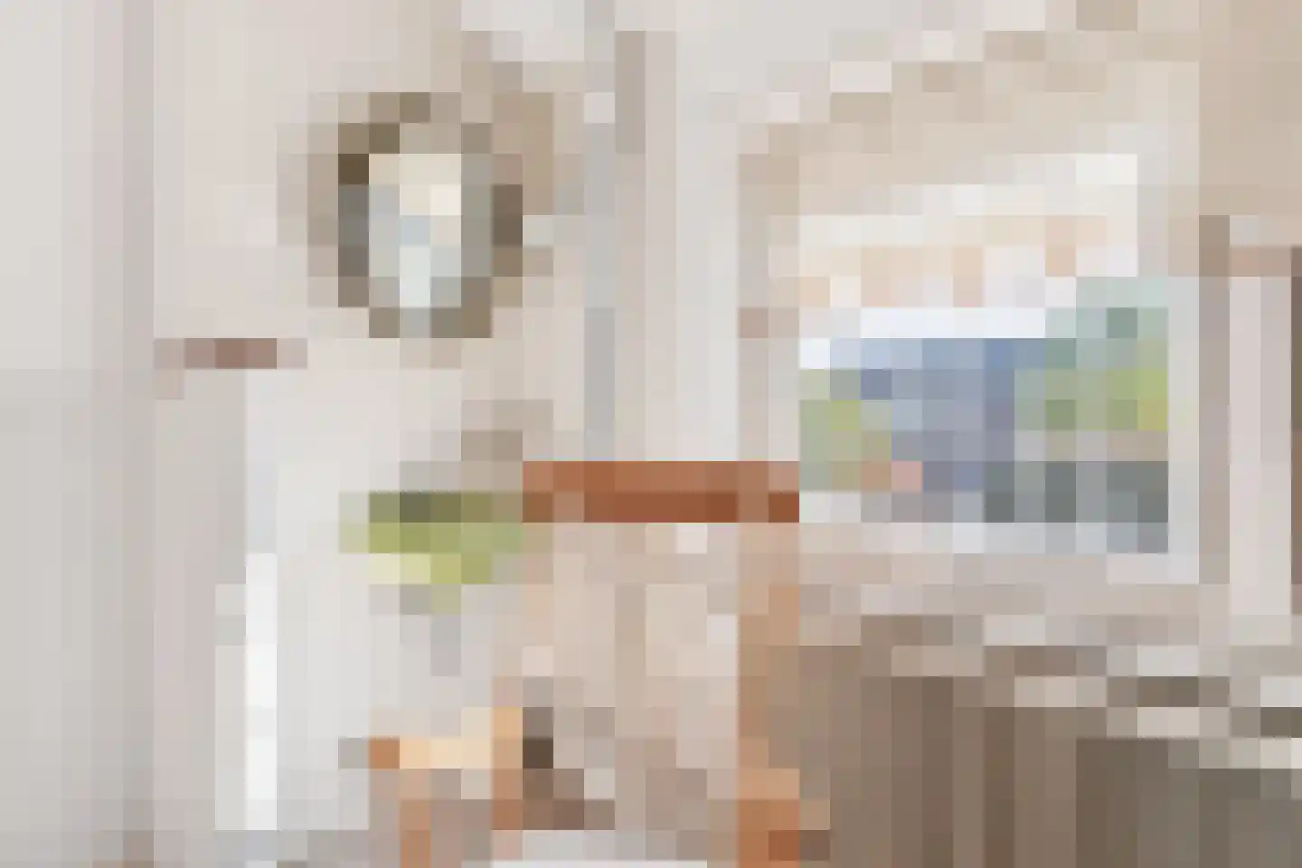 Oosterweg 48 Wijchen thumbnail 38