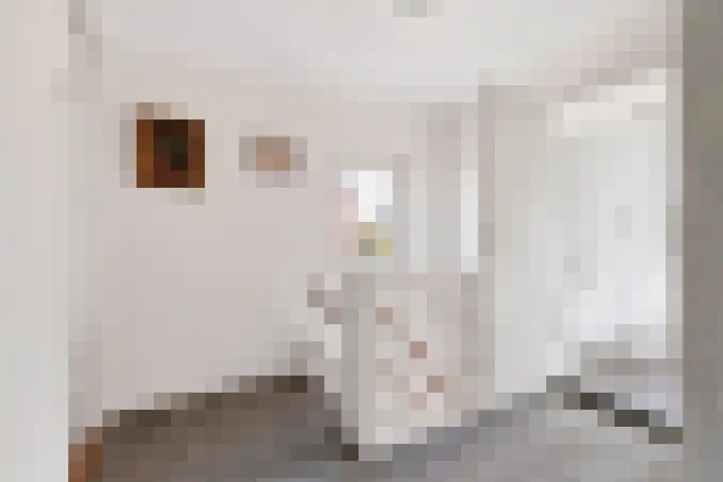 Oosterweg 48 Wijchen thumbnail 43