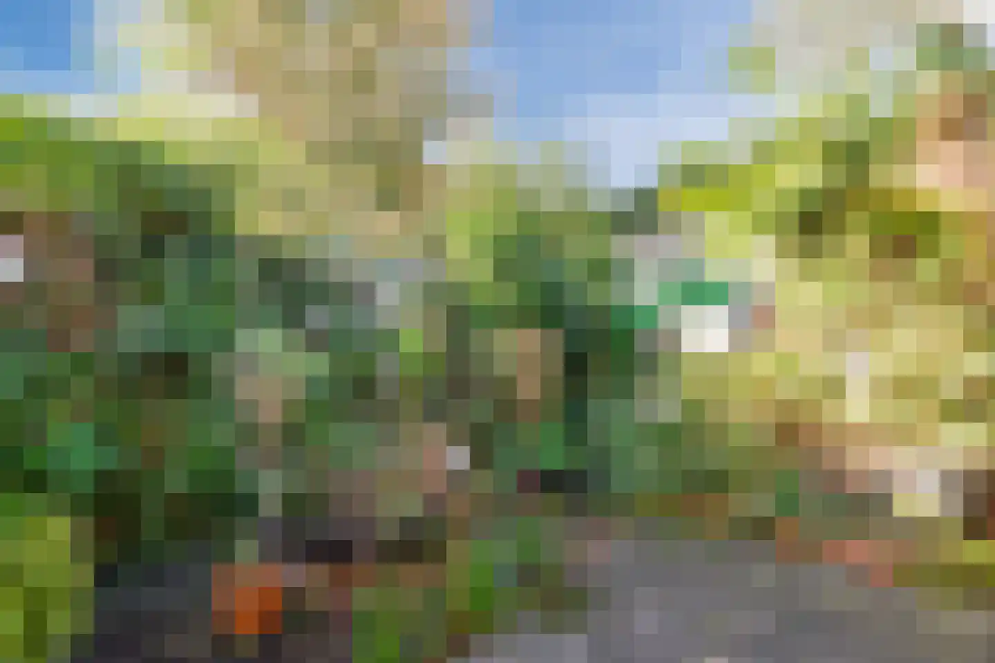 Oosterweg 48 Wijchen thumbnail 51