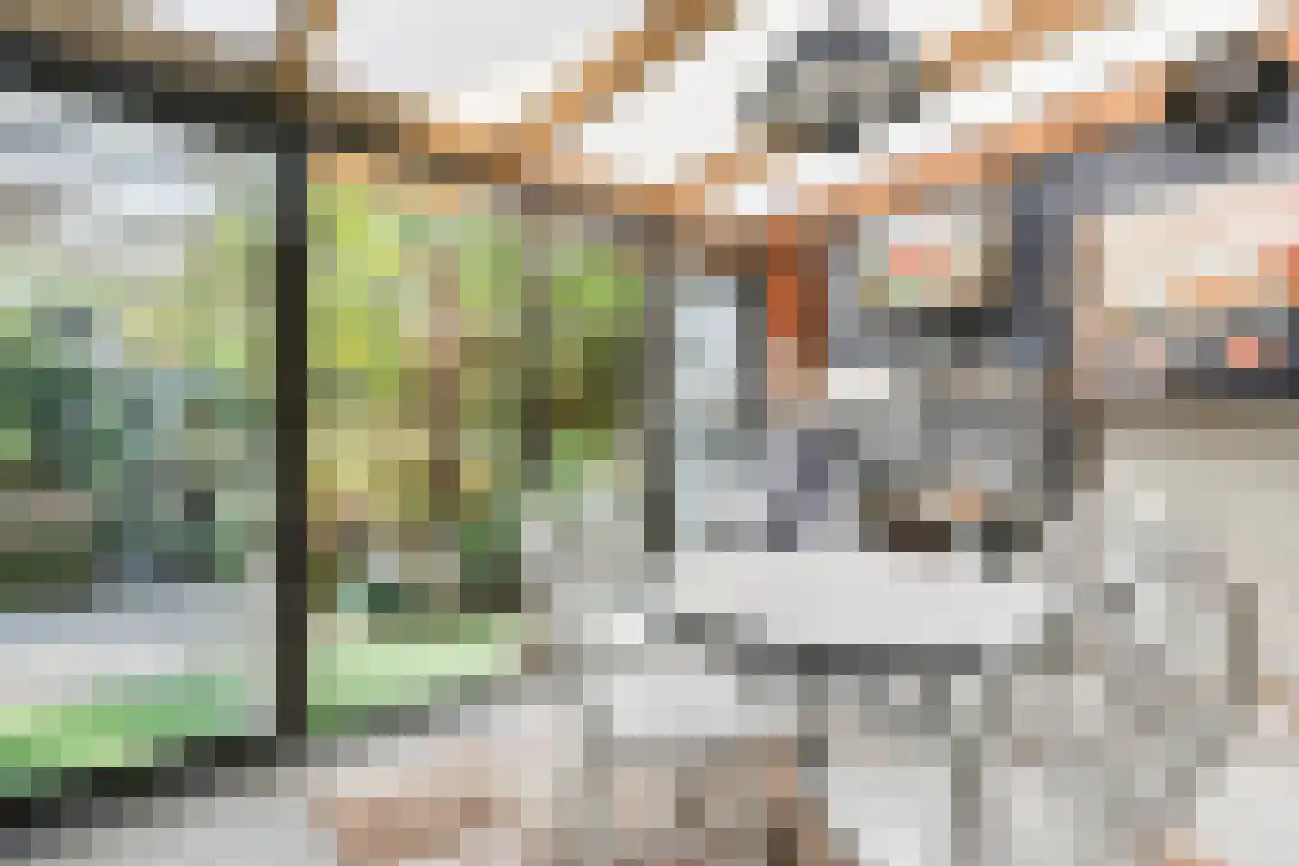 Oosterweg 48 Wijchen thumbnail 53