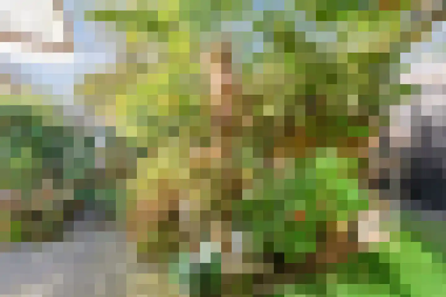 Oosterweg 48 Wijchen thumbnail 54