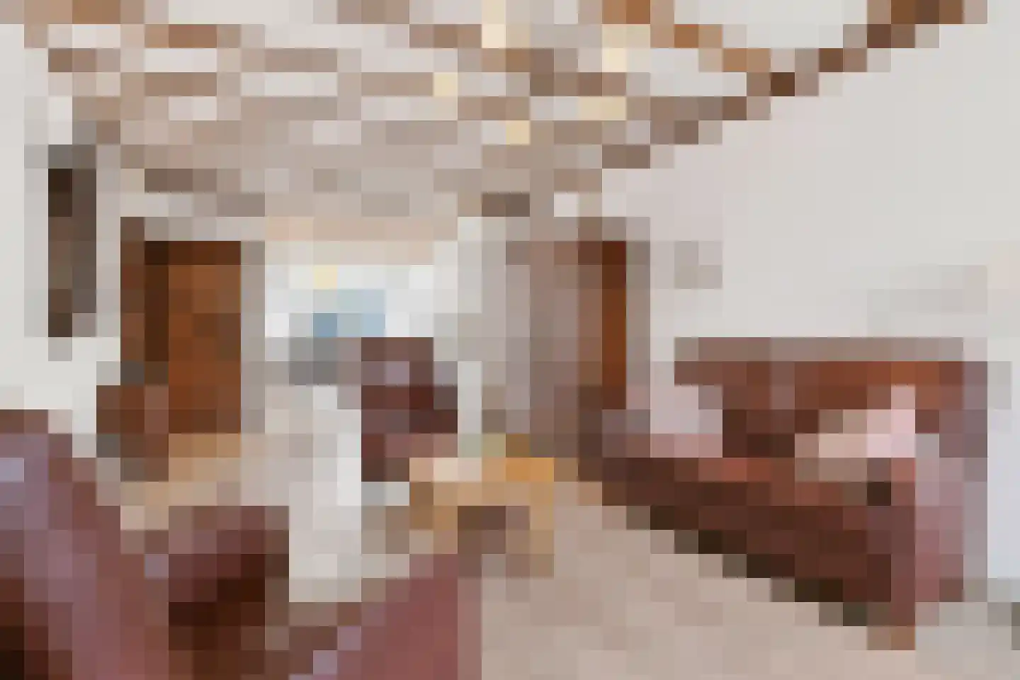 Oosterweg 48 Wijchen thumbnail 6