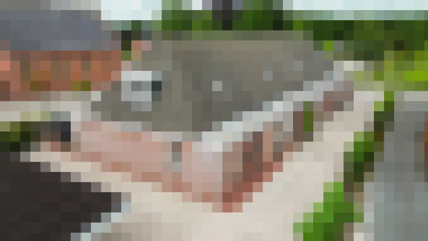 Oosterweg 53 De Wilp thumbnail 11