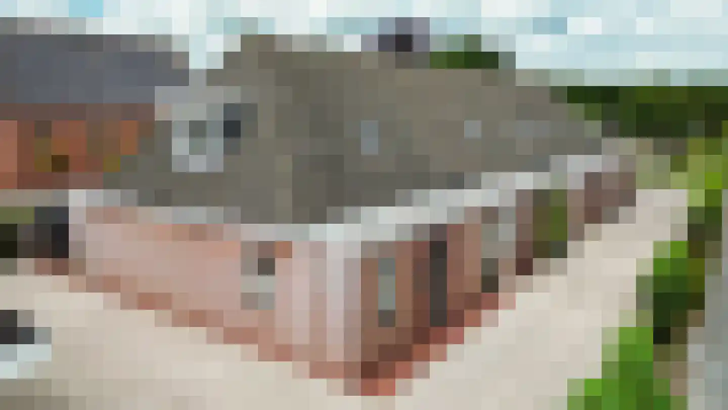 Oosterweg 53 De Wilp thumbnail 12