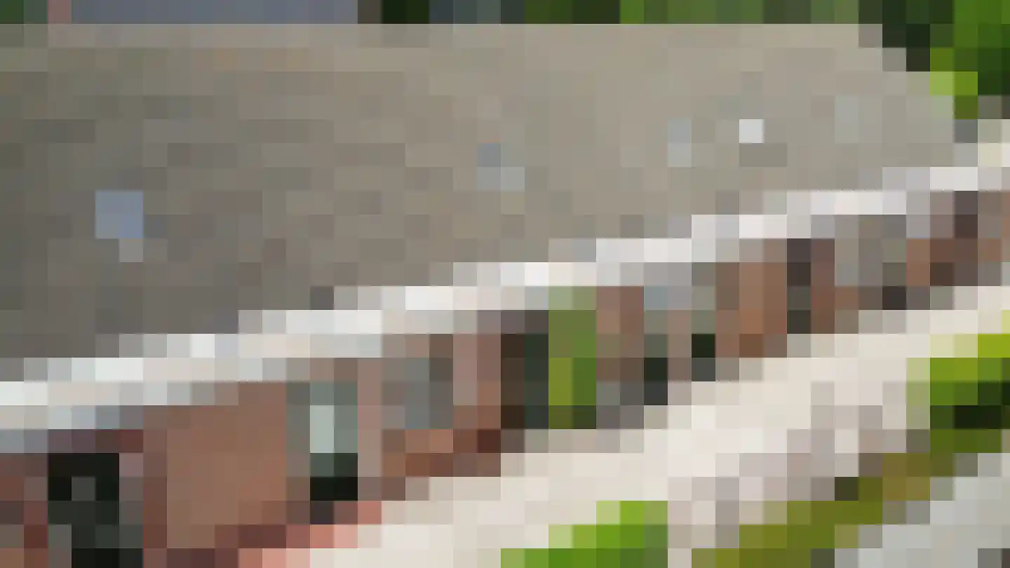 Oosterweg 53 De Wilp thumbnail 13