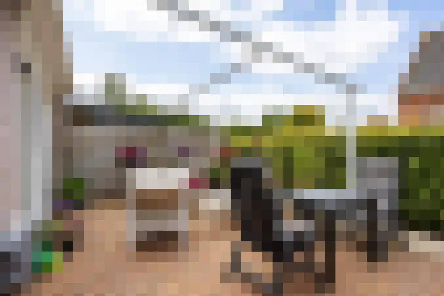 Oosterweg 53 De Wilp thumbnail 57