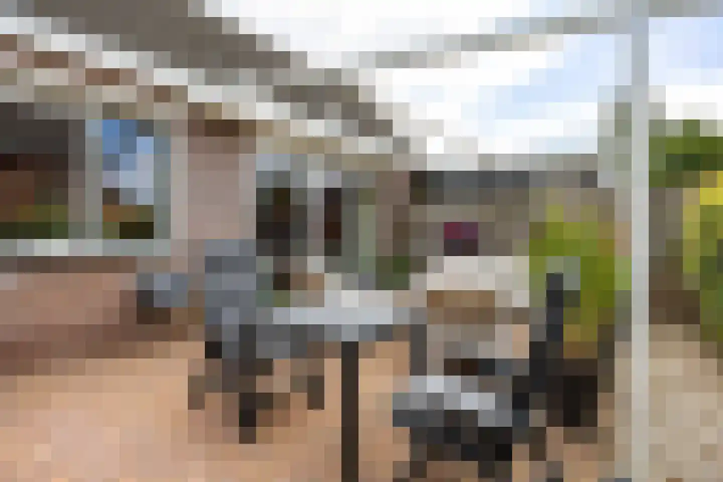 Oosterweg 53 De Wilp thumbnail 58