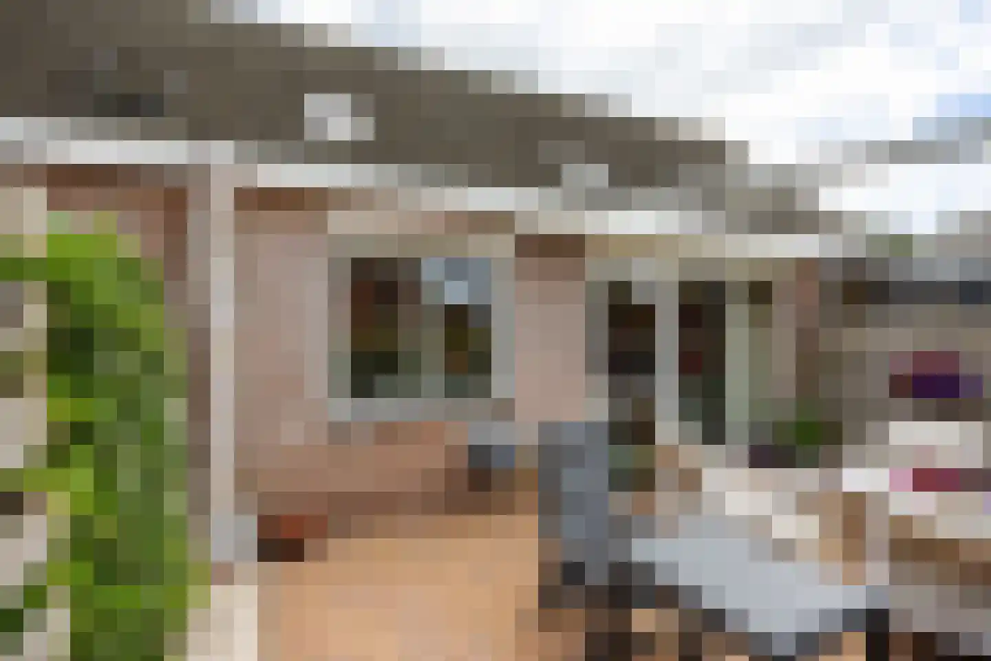 Oosterweg 53 De Wilp thumbnail 59