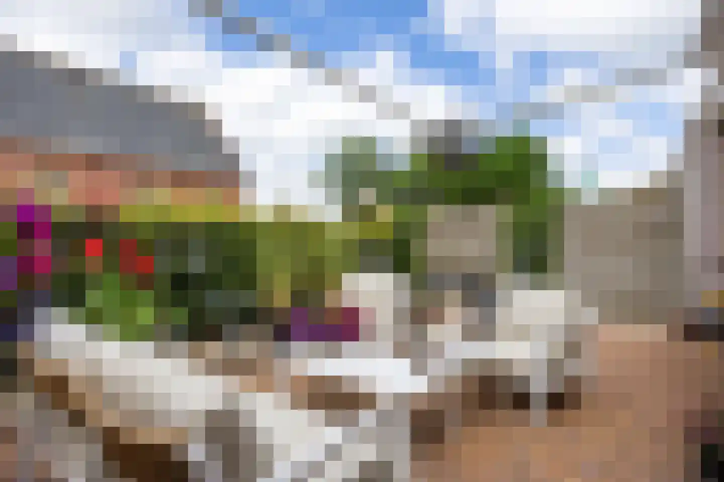 Oosterweg 53 De Wilp thumbnail 6
