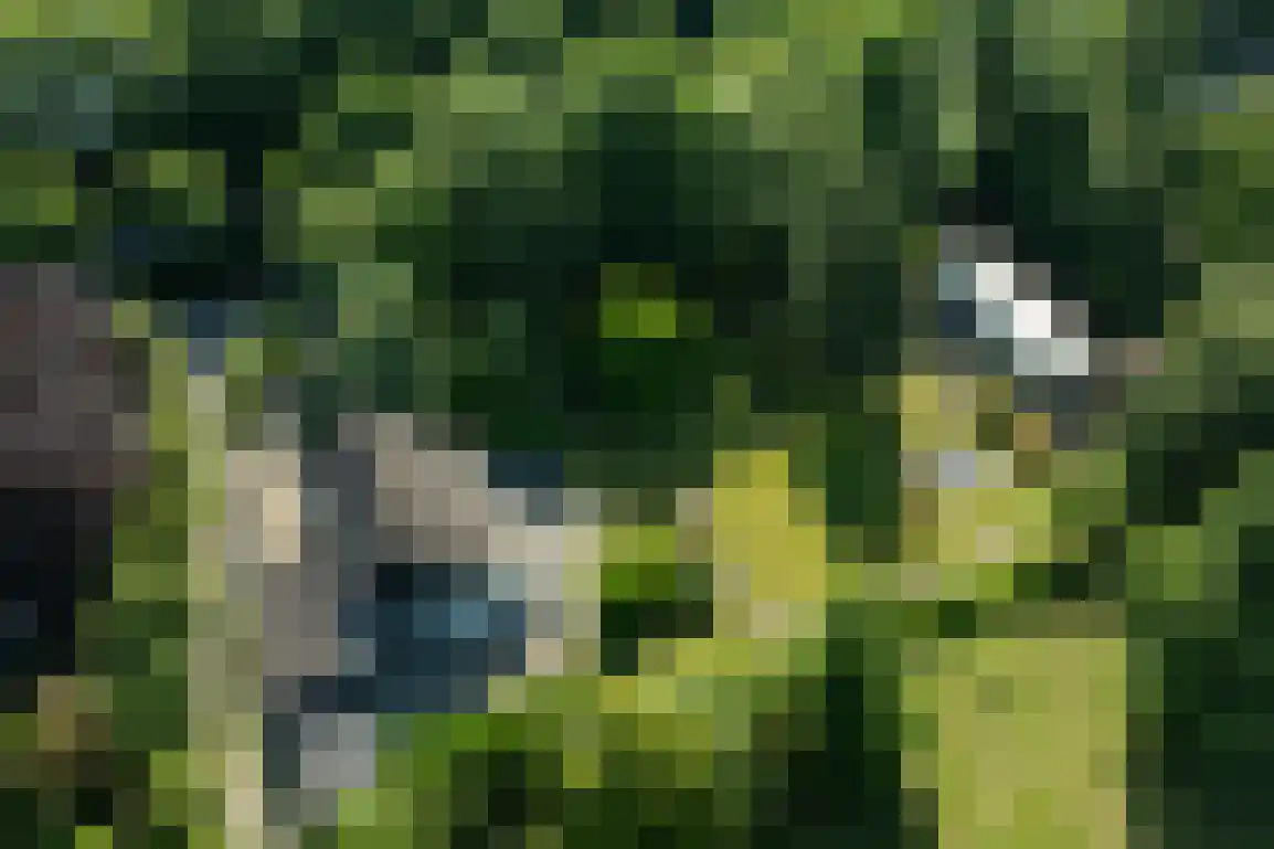 Oosterweg 59 Ouddorp thumbnail 45