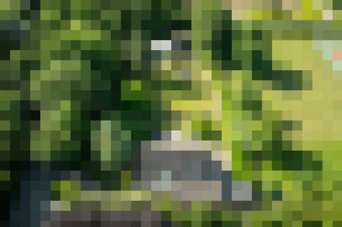 Oosterweg 59 Ouddorp thumbnail 46