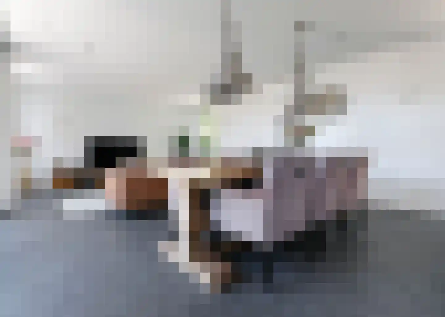 Oosterweg 6 Heerhugowaard thumbnail 4