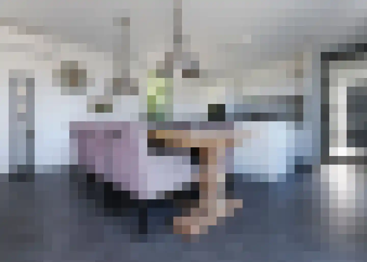 Oosterweg 6 Heerhugowaard thumbnail 5