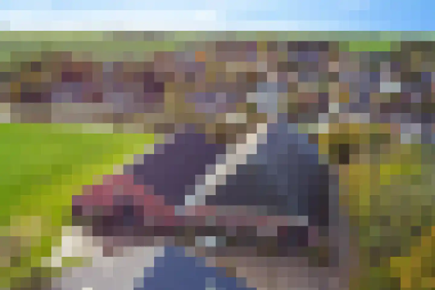 Oosterweg 6 Kantens thumbnail 10