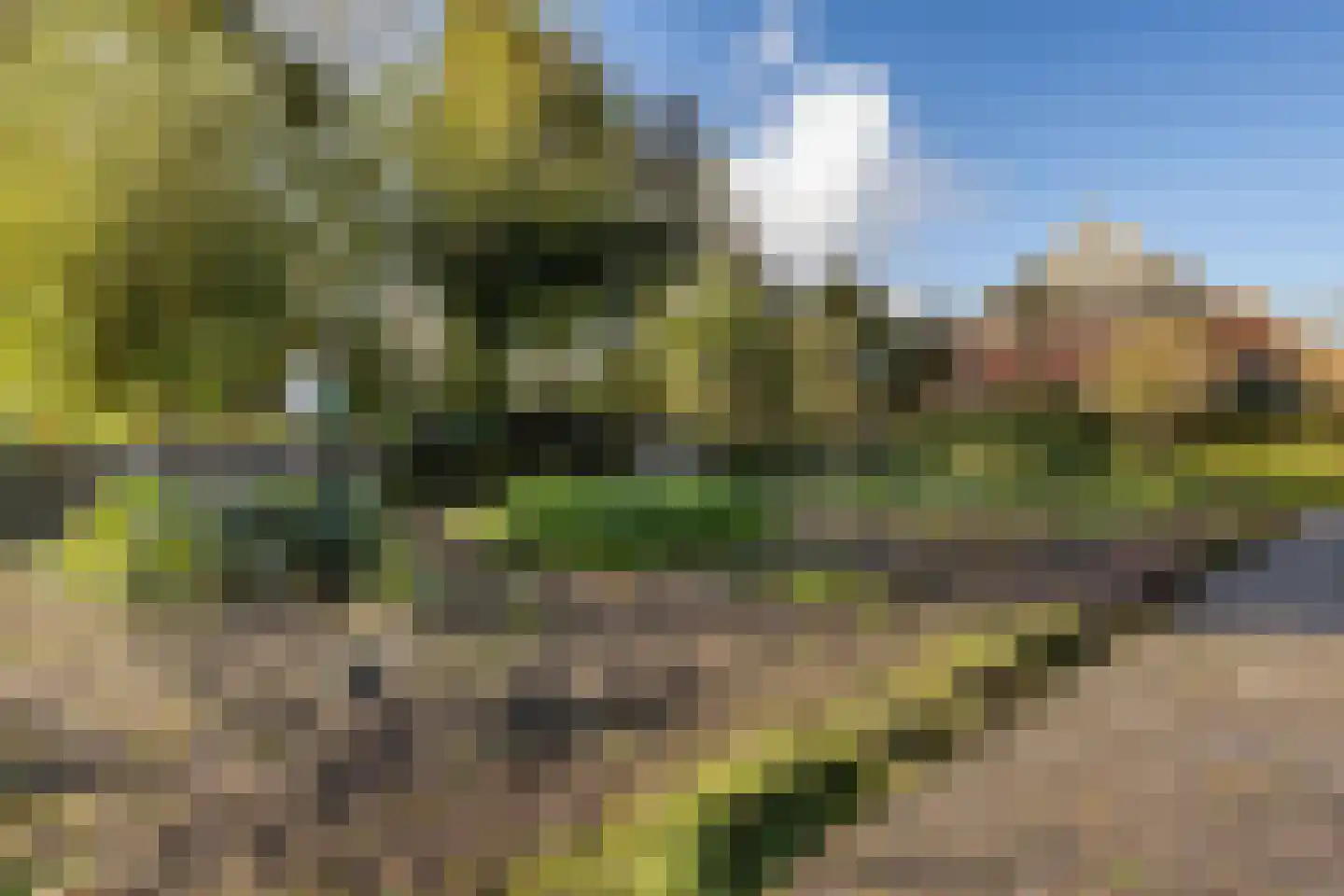 Oosterweg 6 Kantens thumbnail 5