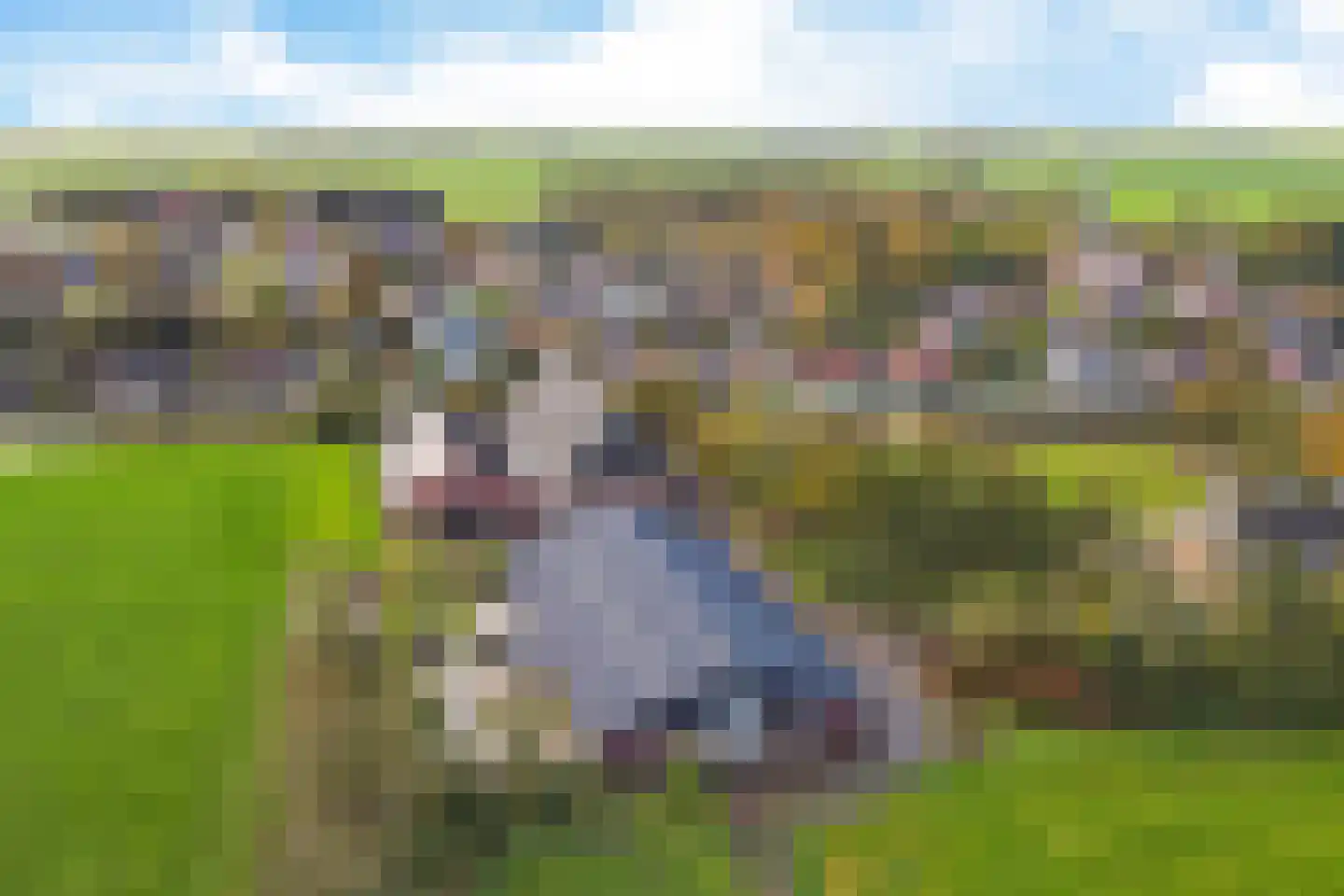 Oosterweg 6 Kantens thumbnail 9