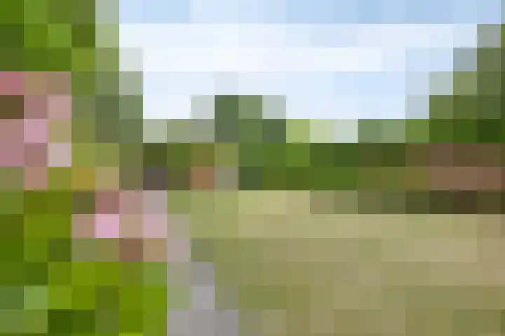 Oosterweg 61 a Ouddorp thumbnail 16